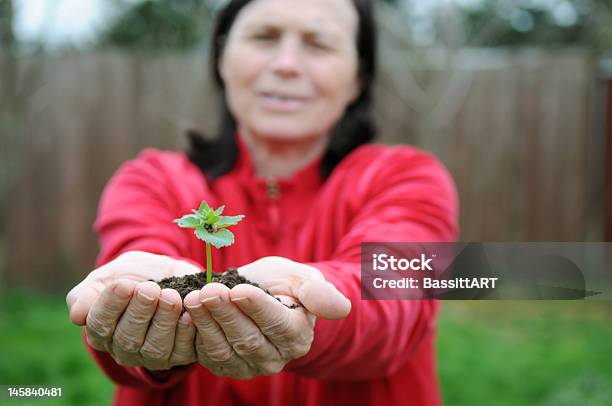 Foto de Cultivo De Plantas e mais fotos de stock de Dividir - Dividir, Planta nova, Tribo Norte-Americana