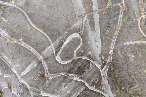 Frozen ice in a puddle on a field in early spring.