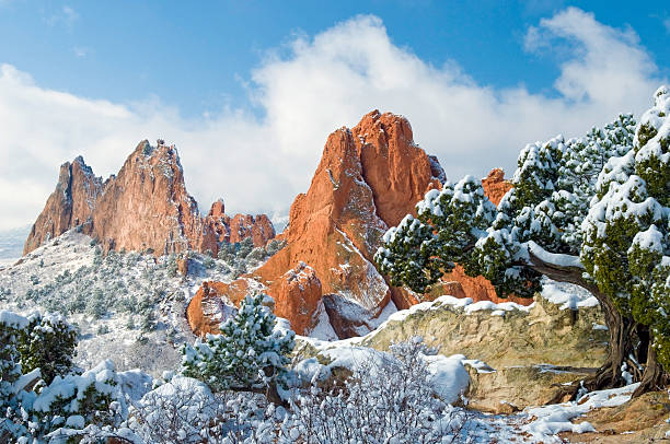 Fresh snow at the Garden