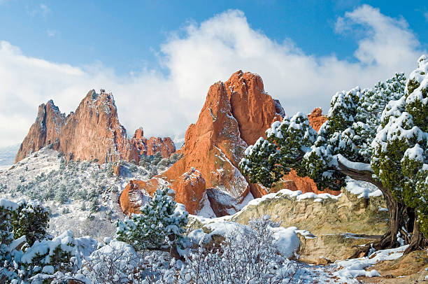 Fresh snow at the Garden Atop white-rock ridge at the Garden of the Gods Park near Colorado Springs in early morning after a fresh snowfall I captured the south gateway rocks with twisted juniper trees. colorado springs stock pictures, royalty-free photos & images