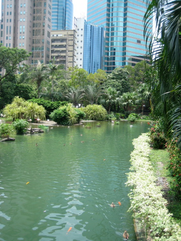 A garden in the middle of Hong Kong city, Kowloon