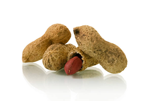 Scimmia Peanuts- dadi - foto stock