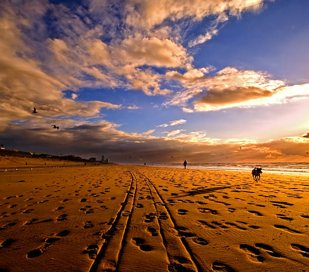 piękny zachód słońca - men footprint beach sunset zdjęcia i obrazy z banku zdjęć