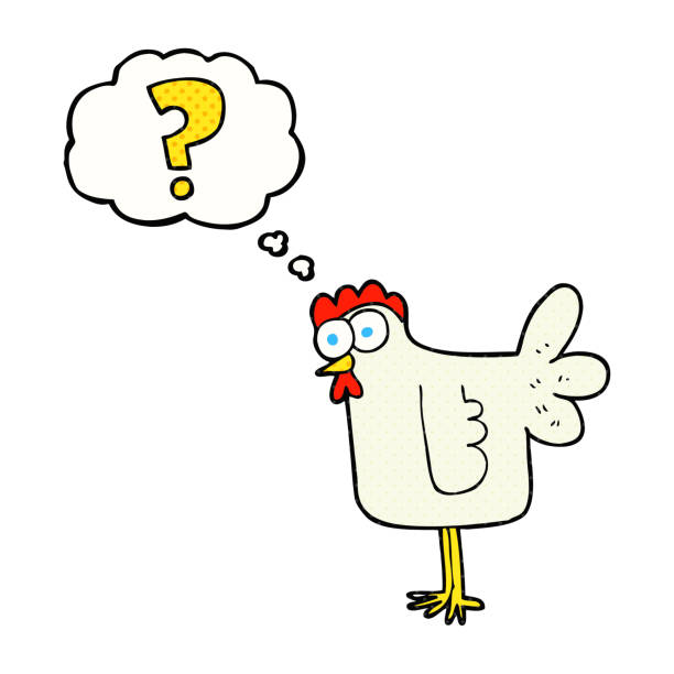 freehand drawn thought bubble cartoon confused chicken freehand drawn thought bubble cartoon confused chicken crazy chicken stock illustrations