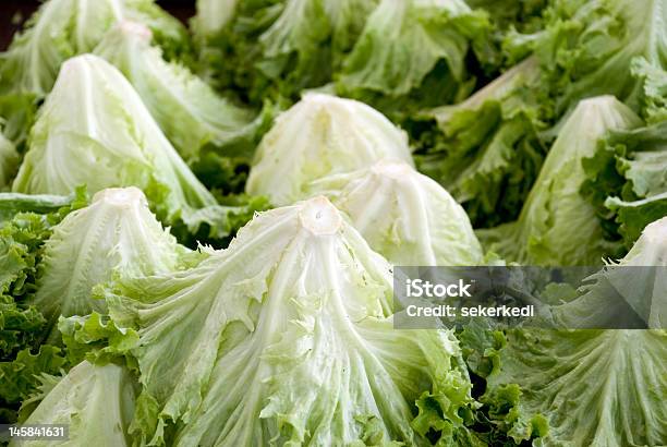 Lechuga Foto de stock y más banco de imágenes de Alimento - Alimento, Comida sana, Comida vegetariana