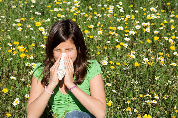 hayfever or allergy, child blowing nose stock photo