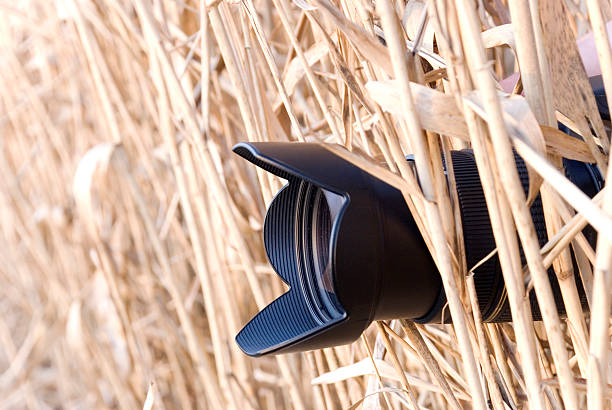 telephoto lens hidden behind canes