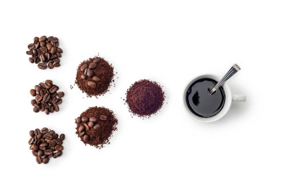 caffè essiccato in grani tostati e caffè filtro e una tazza di caffè. - coffee crop bean seed directly above foto e immagini stock