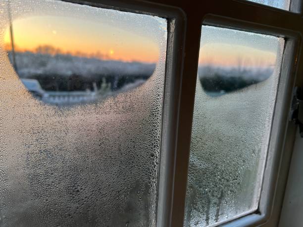 istock Frosty winter morning sunrise 1458424619