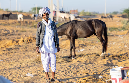 Pushkar, Rajasthan, India - November 2022: Pushkar Fair, Portrait of an horse trader in ethnic dress and rajasthani turban on fair ground during pushkar fair.