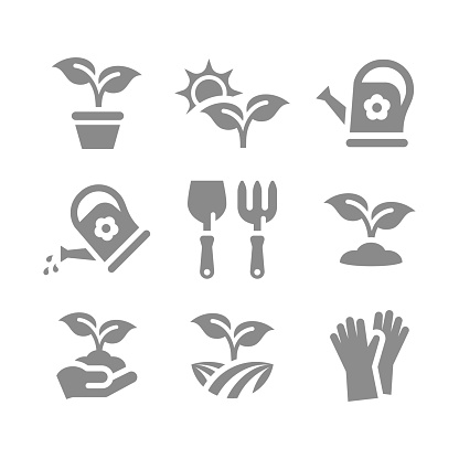 Growing plants filled icons