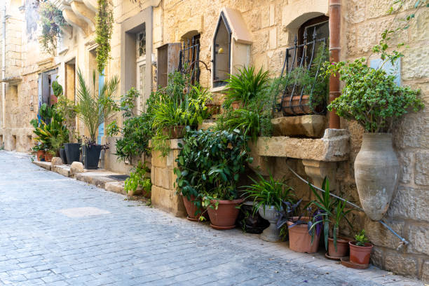 One of Madina city streets with a lot of plants stock photo