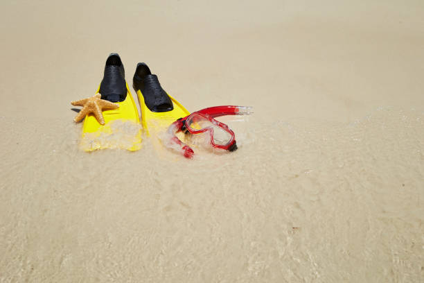 istock Yellow flippers, snorkel set and starfish on the beach 1458427524