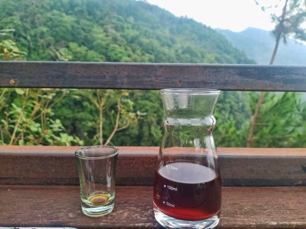 istock Natute and V60 Coffee 1458427576