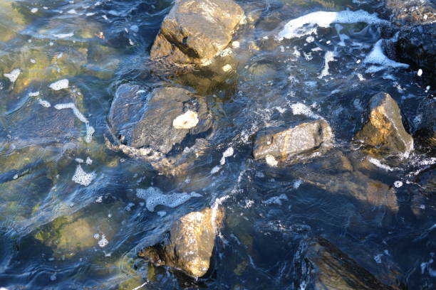 istock Wave movement along a bay of water 1458428707