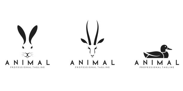 illustrazioni stock, clip art, cartoni animati e icone di tendenza di animale selvatico. coniglio e anatra astratti dell'antilope - impala