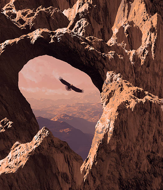 Bald Eagle in the  Southwest stock photo