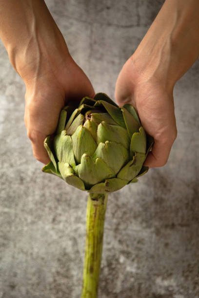 istock artichoke in hand ,fresh artichoke 1458433411