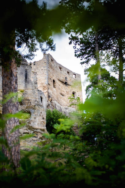 istock Ruin of Valecov castle 1458433698