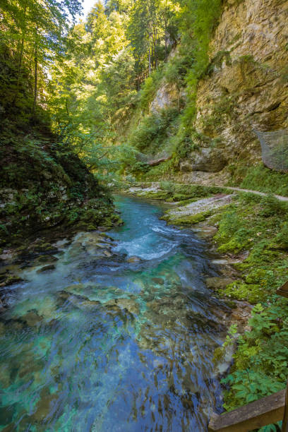 istock Vintgar gorge in Slovenia 1458433762