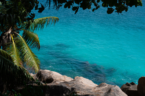 View of the turquoise waters of the La Digue coast, Seychelles.
