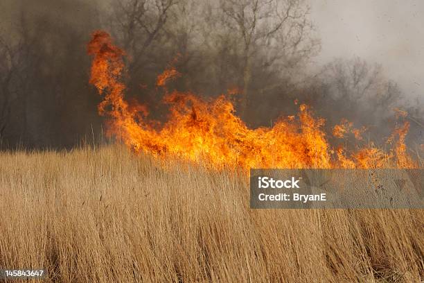 프레리 화재 대초원에 대한 스톡 사진 및 기타 이미지 - 대초원, 불, 불길