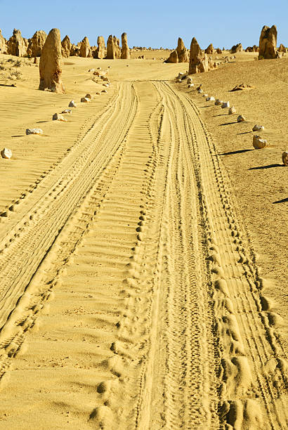istock Pinnacles desert with car tracks 145843671