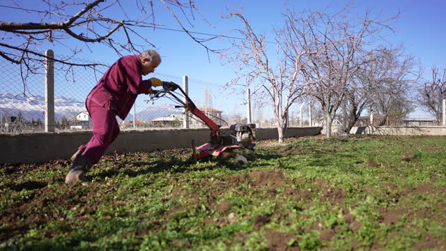 Mature man is working in the garden with a rototiller to cultivates the land in winter