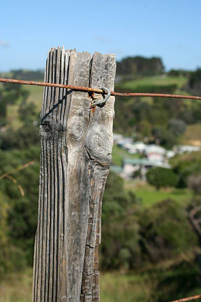 knotted fence post stock photo
