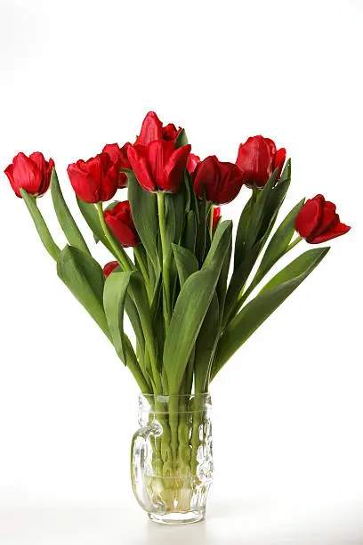 A bunch of red tulips in a cut glass beer mug.