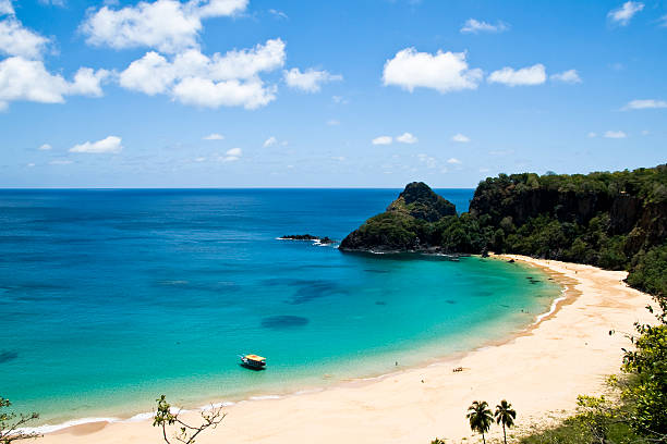 istock Sancho Bay Beach in Fernando de Noronha 145844016