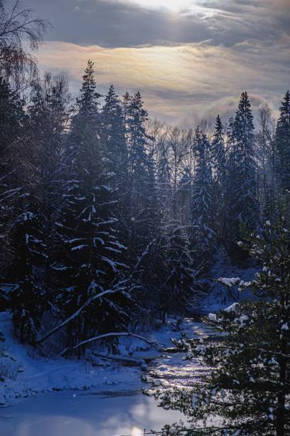 istock Winter forest and river landscape in snowy nature. Beautiful lighting. 1458440189
