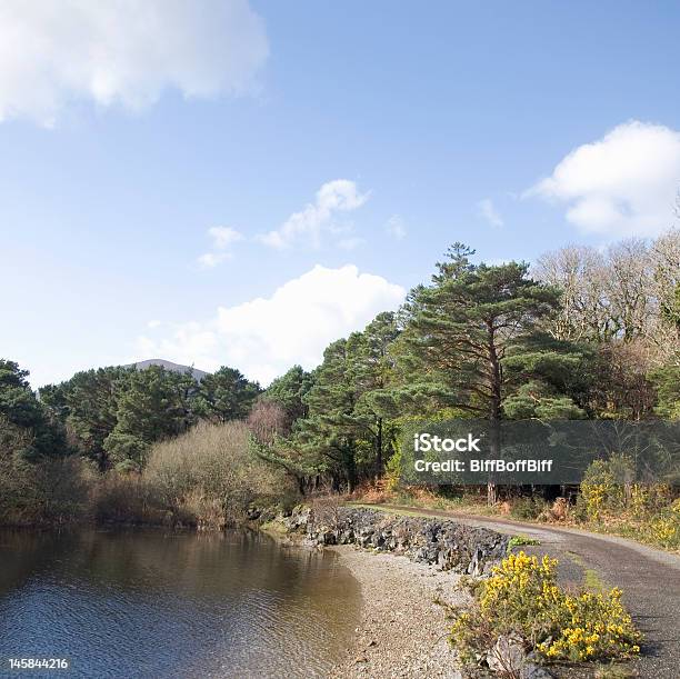 Ross Island Killarney National Park Stock Photo - Download Image Now - County Kerry, Color Image, Day