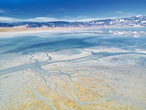 istock Aerial View of Abstract Natural Patterns on a Lake 1458444737