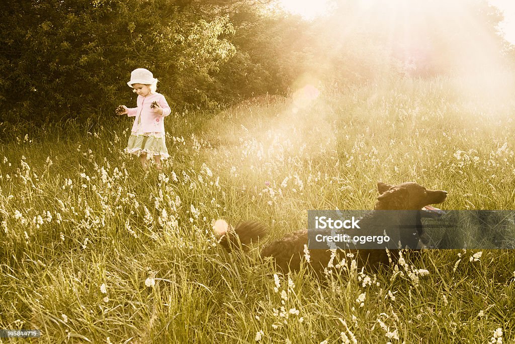 Kindheit dreams - Lizenzfrei Agrarbetrieb Stock-Foto