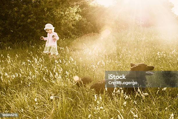 Kindheit Dreams Stockfoto und mehr Bilder von Agrarbetrieb - Agrarbetrieb, Baby, Blume