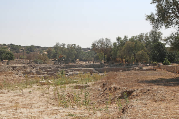istock Old ruins in the park, Ashkelon, Israel 1458447643