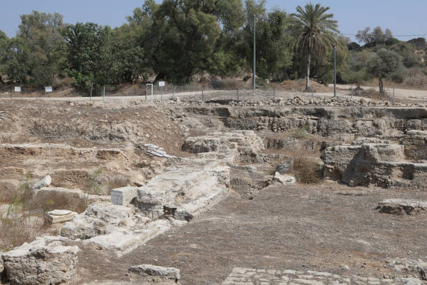 istock Old ruins in the park, Ashkelon, Israel 1458448958