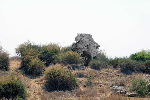 Old ruins in the park, Ashkelon, Israel
