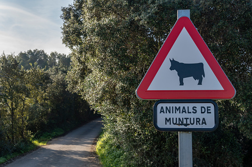 Vertical traffic sign indicating the danger of farm animals on the road. Island of Mallorca, Spain