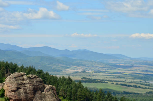 istock Rocks with shapes and green forest 1458453777