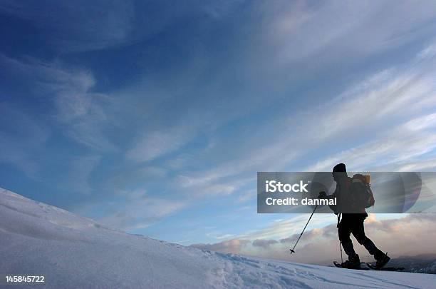 Inverno Trecking - Fotografie stock e altre immagini di Ambientazione esterna - Ambientazione esterna, Composizione orizzontale, Escursionismo