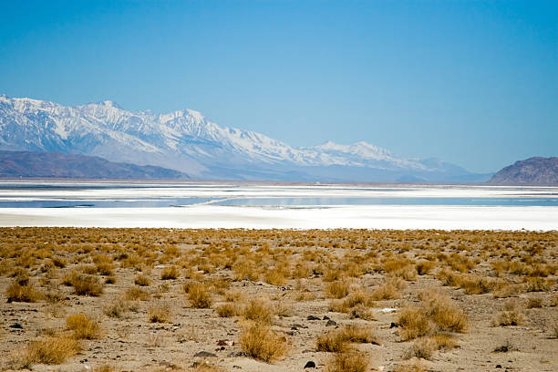 istock Death Valley Salt Flats 145845795
