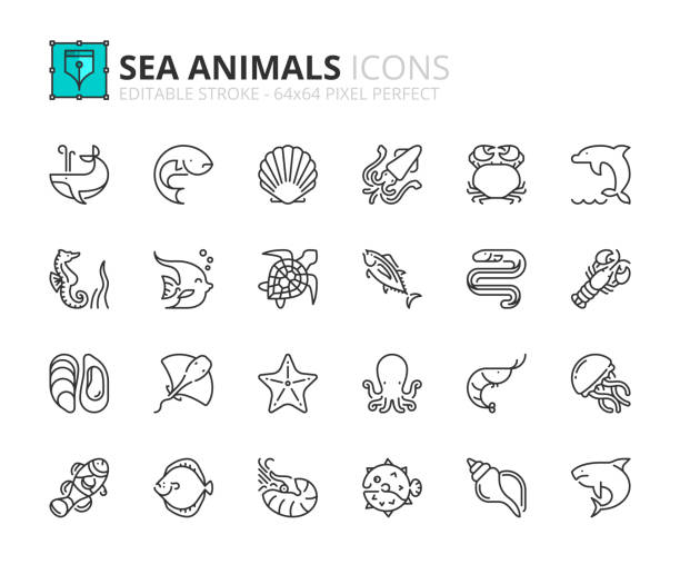 Simple set of outline icons about sea animals. Sea world. Outline icons about sea animals. Sea world. Editable stroke 64x64 pixel perfect. turbot stock illustrations