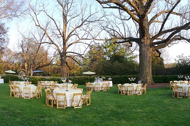 Wedding Reception stock photo