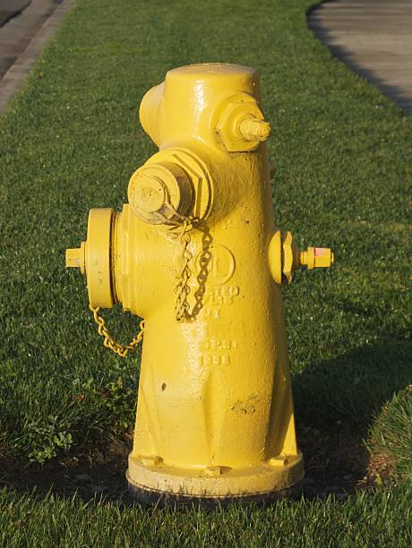 istock Yellow Fire Hydrant On Strip Of Green Grass 145846261