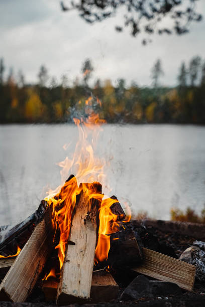 istock Bonfire lit on the shore of a lake. 1458464261