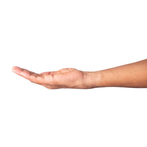 istock Demanding open men hand isolated on white background 1458465614