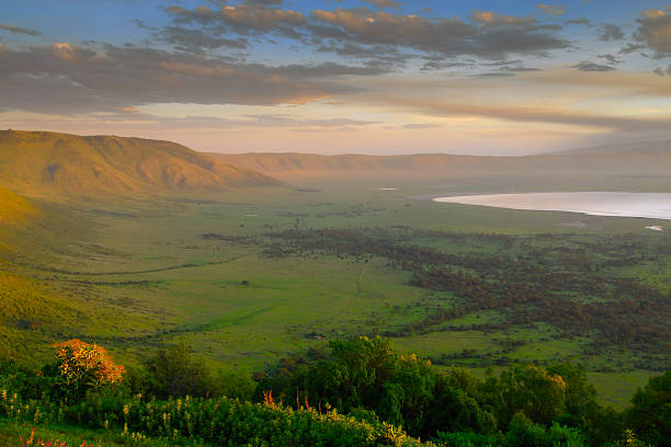 Scenic panorama of a crater in Tanzania at sunset The west rim of the Ngorongoro crater at sunrise in Tanzania	 tanzania stock pictures, royalty-free photos & images