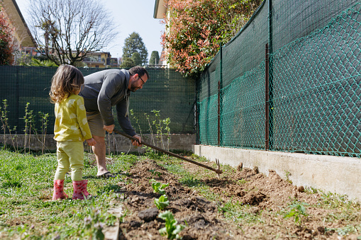 father and daughter dig beds for seedlings in their garden